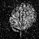 Reflex'82 11 Dirk Ender